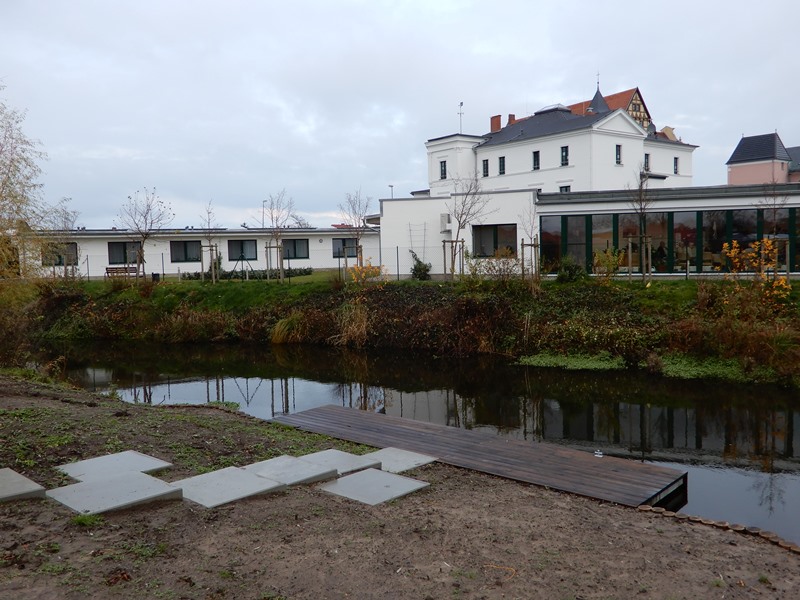 Neuer Rasen Voller Unkraut